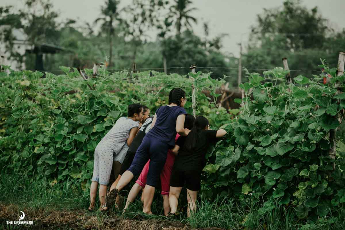 kỷ yếu dreamer